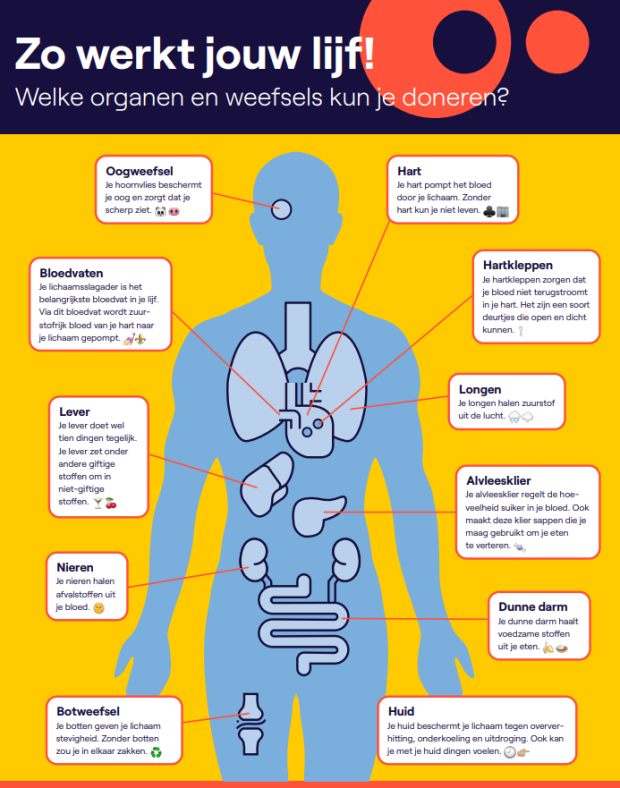 Poster 'Zo werkt jouw lijf'
