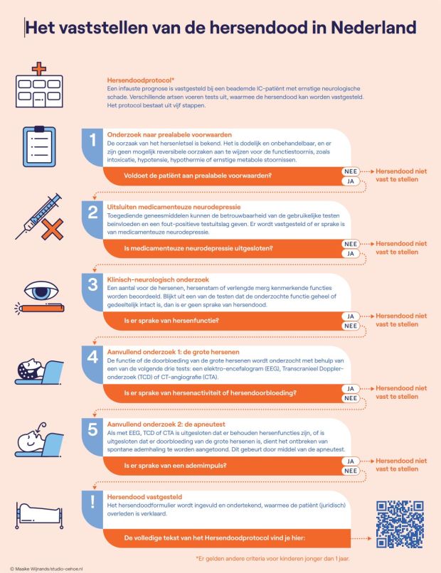 Stappen voor vaststellen hersendood uitgelegd in illustratie