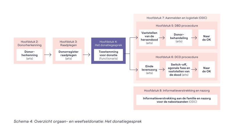 Schema 4 Proces orgaandonatie DBD-procedure