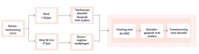 Schema met het donatieproces bij kind als donor